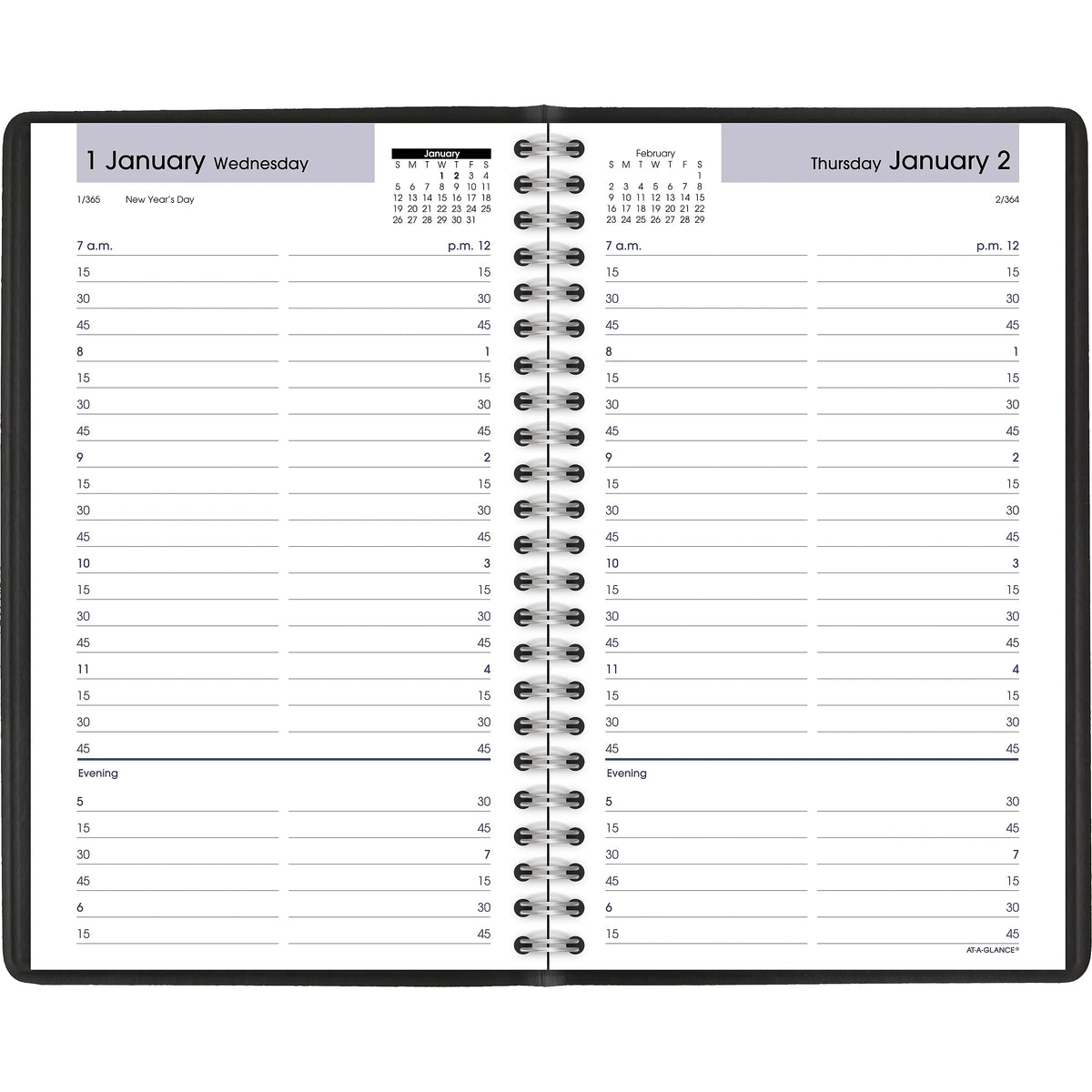 '--® DayMinder® Daily Appointment Book/Planner, 5-1/2" x 8-1/2", Black, January To December 2020,