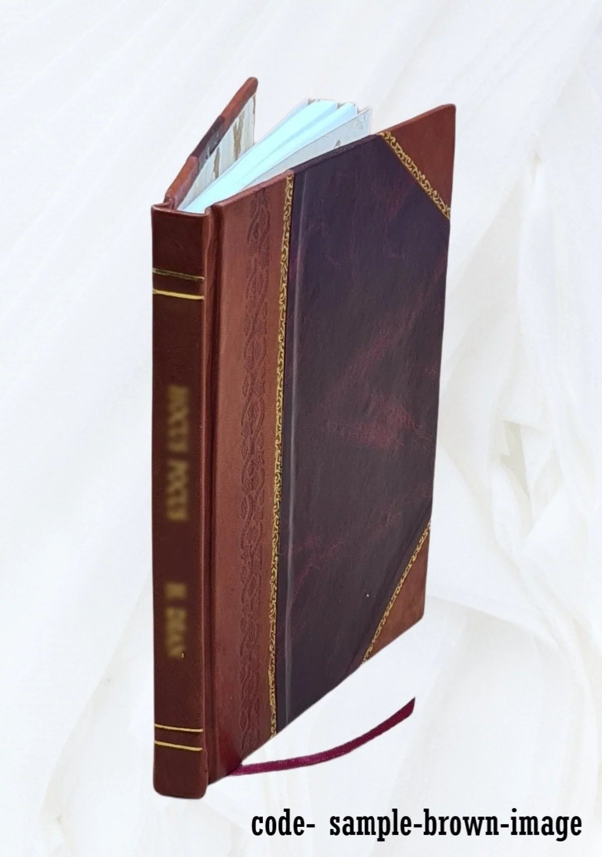 Telegraphic cypher ... Volume 1877 1877 [Leather Bound]