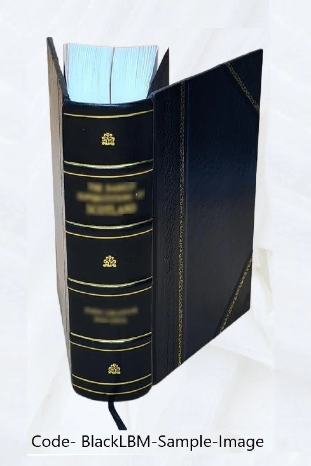 Bibliografia polska. [Stólecie -] .. Volume 18 2022 [Leather Bound]