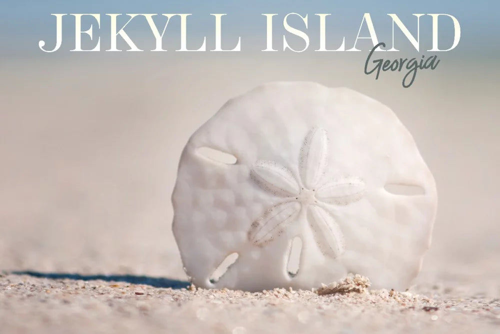 Jekyll Island, Georgia, Sand Dollar on Beach (19x27 inches, Premium 500 Piece Jigsaw Puzzle for Adults and Family, Made in )