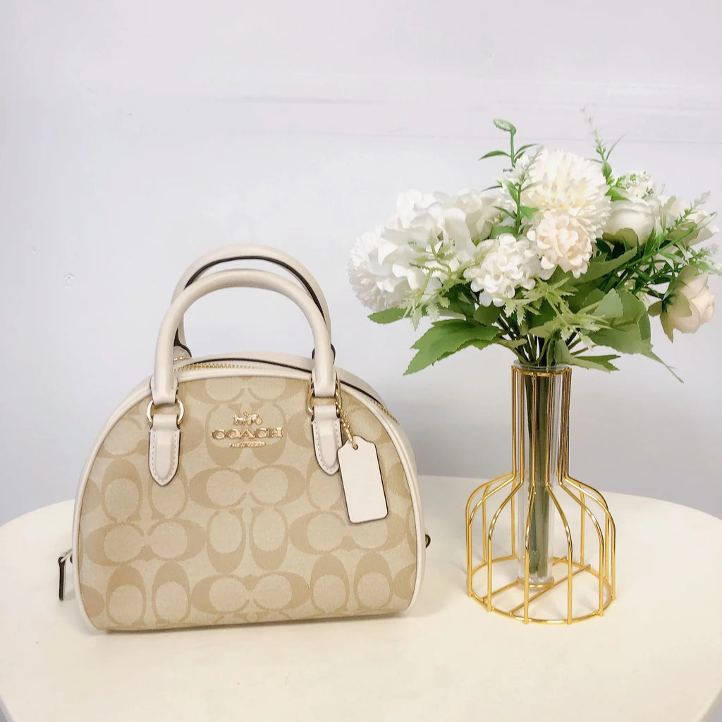 Coach  Sydney Satchel In Signature Canvas