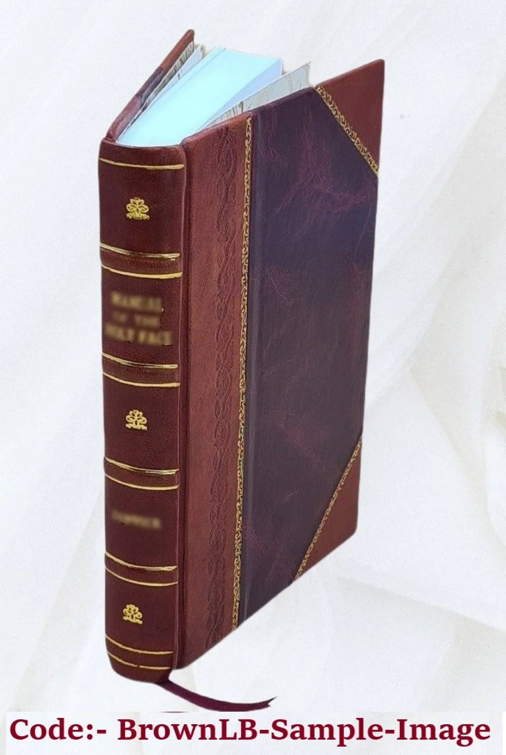 manual of the principles and practice of road-making : comprising the location, construction, and improvement of roads (common, macadam, paved, plank, etc.) and railroads / by .. Gillespie. 1855 [