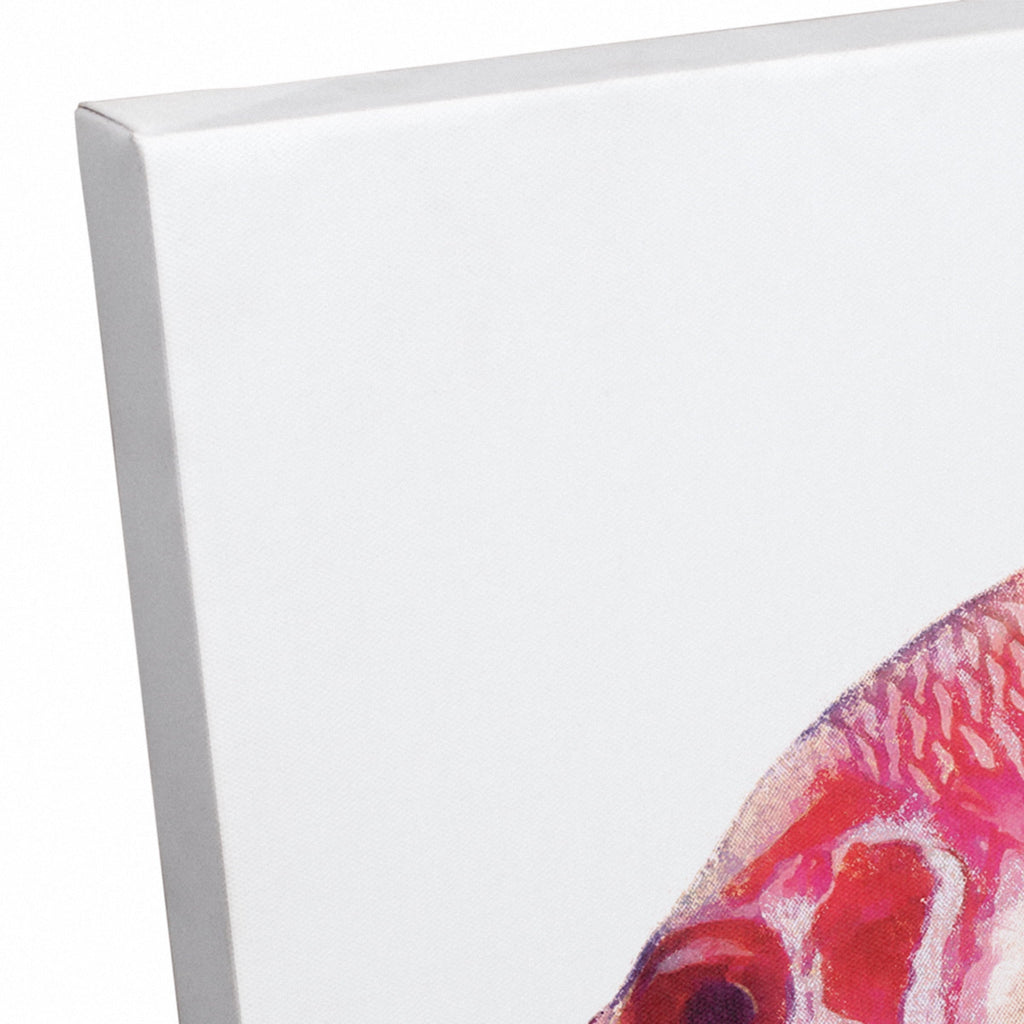 Creative Products Tropical Red Snapper Fish 12x18 Canvas Wall Art