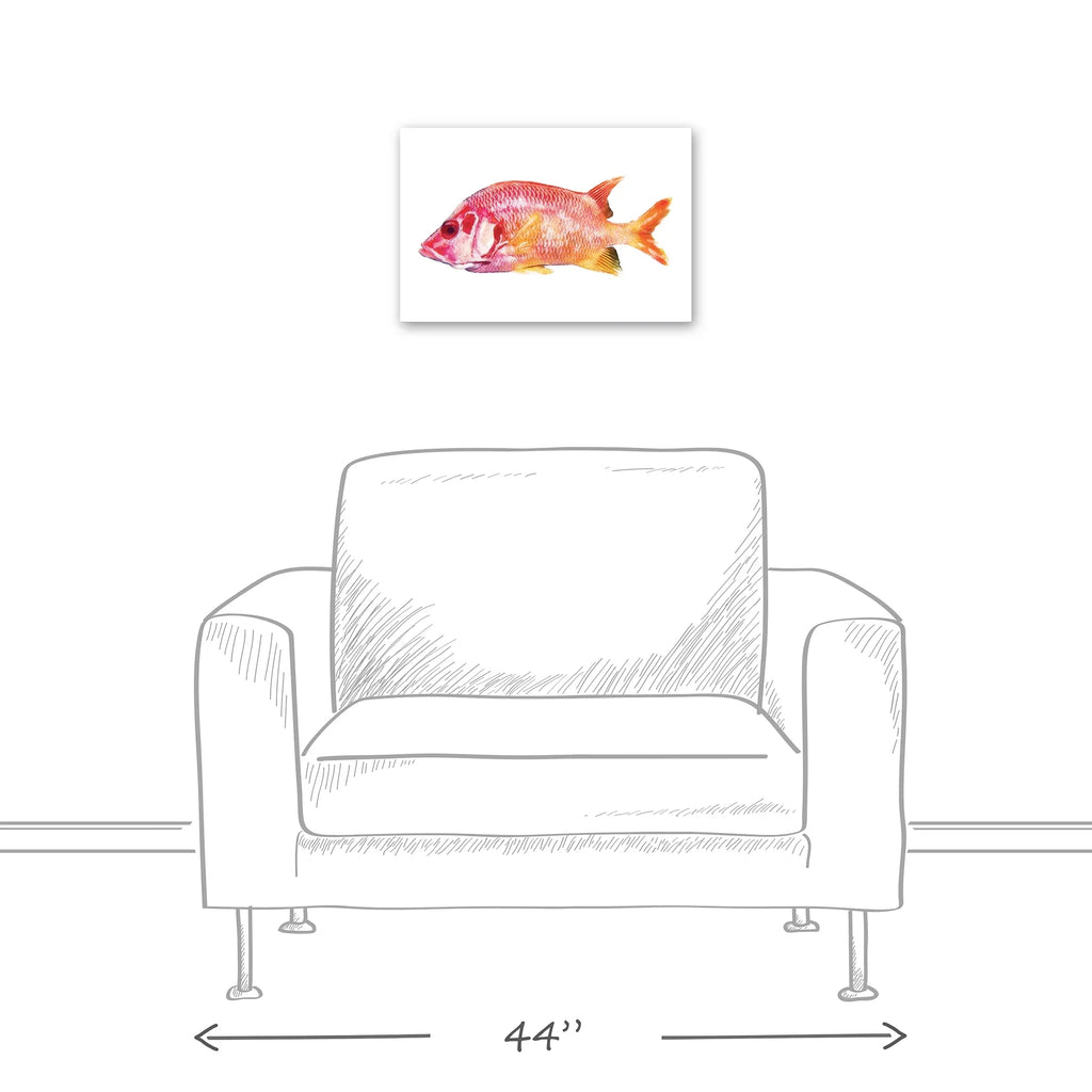 Creative Products Tropical Red Snapper Fish 12x18 Canvas Wall Art