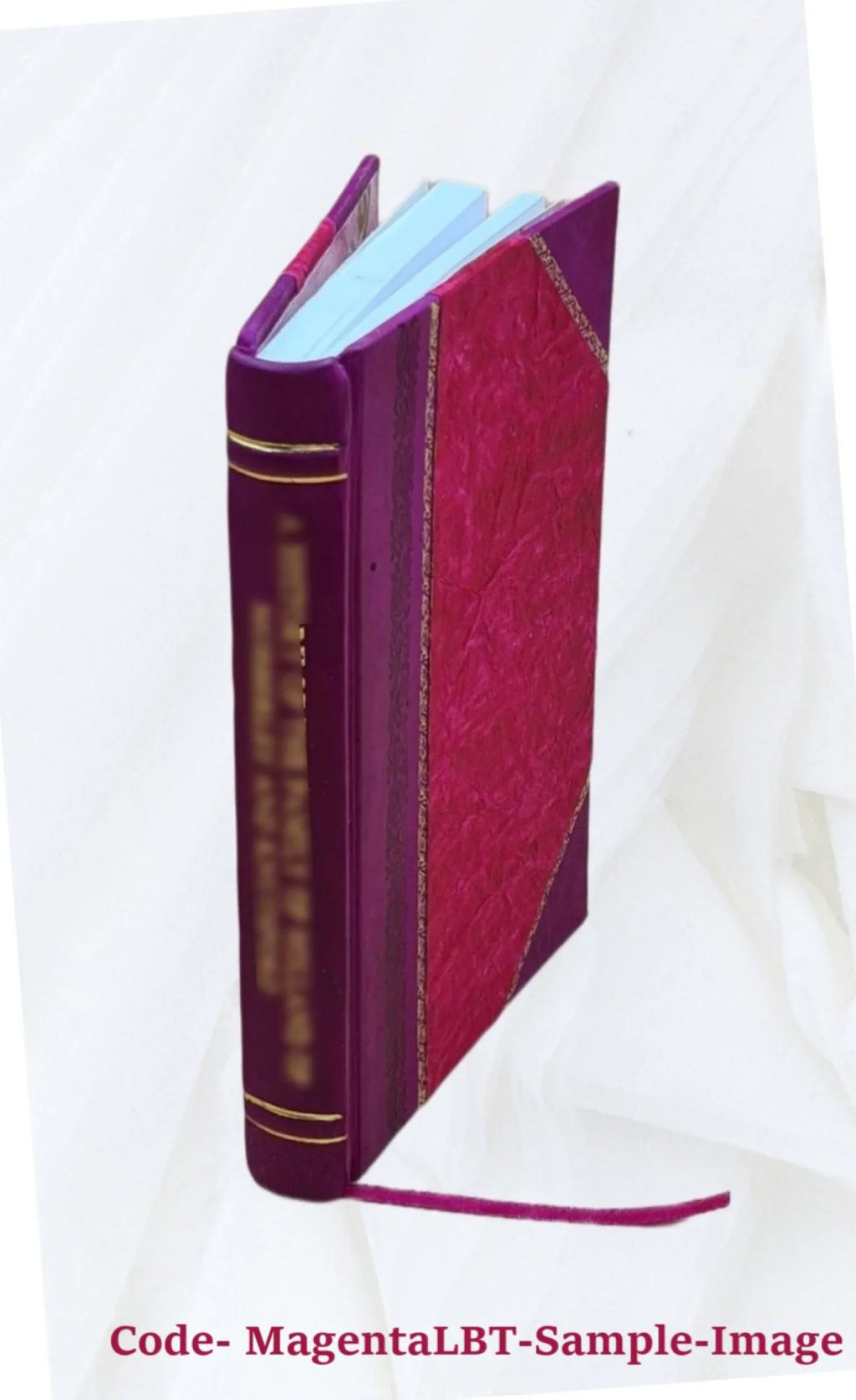 Observations de la grande nébuleuse d'Orion : faites à Cazan et à Poulkova / par . Struve. Volume c.1 1862 [Leather Bound]