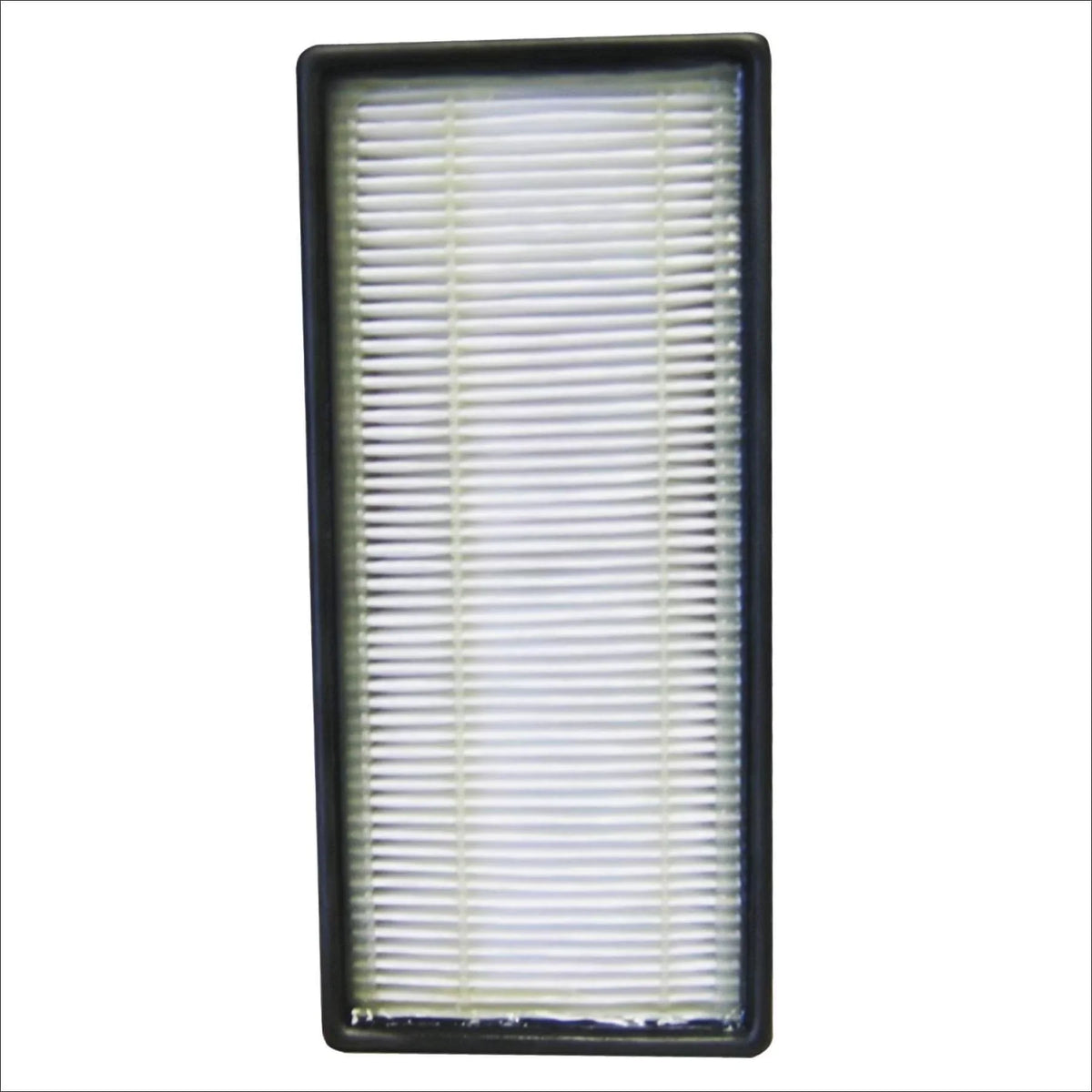 Honeywell HEPAClean Air, 2 count,  Filter, 2 count