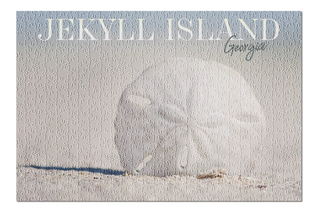 Jekyll Island, Georgia, Sand Dollar on Beach (19x27 inches, Premium 500 Piece Jigsaw Puzzle for Adults and Family, Made in )