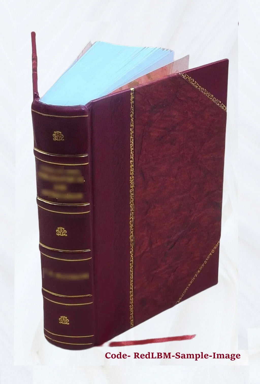 History of Danbury, Conn., 1684-1896 : from notes and manuscript left by James Montgomery Bailey / comp. with additions by Susan Benedict Hill. 1869 [Leather Bound]