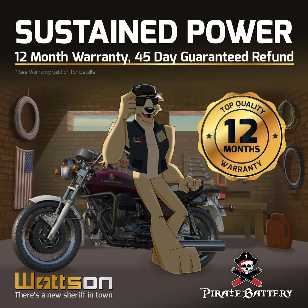 Pirate Battery - (14- 12 Volt,12 Ah, 200 ) Motorcycle Battery for Kawasaki 800cc Vn800-a, , ,  Vulcan, Classic, Drifter 1995
