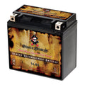 Pirate Battery - (14- 12 Volt,12 Ah, 200 ) Motorcycle Battery for Kawasaki 800cc Vn800-a, , ,  Vulcan, Classic, Drifter 1995