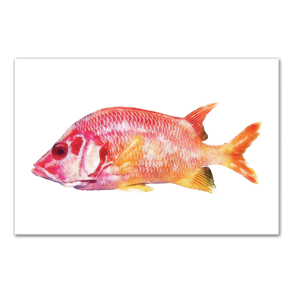 Creative Products Tropical Red Snapper Fish 12x18 Canvas Wall Art