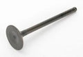 Exhuast Valve   -Max 85-07