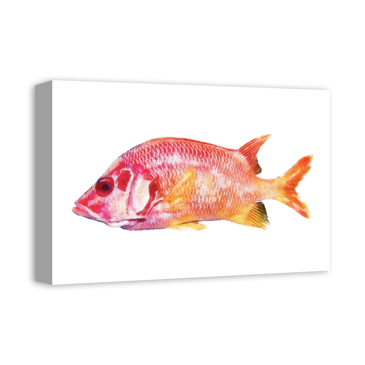 Creative Products Tropical Red Snapper Fish 12x18 Canvas Wall Art